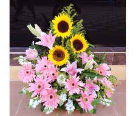 BK9 MIXED COLOUR FLOWER BASKET WITH GERBERAS & SUNFLOWERS