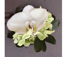 CO39 GREEN HYDRANGEAS WITH WHITE ORCHIDS CORSAGE