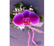CO11 PURPLE ORCHID CORSAGE/ HAND FLOWER