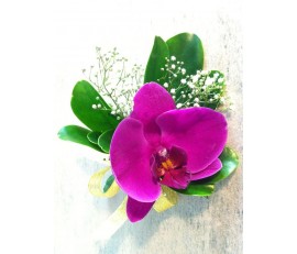 CO11 PURPLE ORCHID CORSAGE/ HAND FLOWER