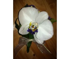 CO24 WHITE ORCHID CORSAGE