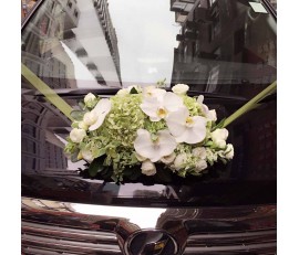 CO37 GREEN HYDRANGEAS WITH WHITE ORCHIDS CAR FLOWER