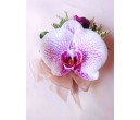 CO5 WHITE ORCHID CORSAGE