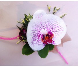 CO5 WHITE ORCHID CORSAGE