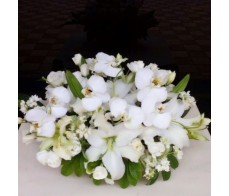 C2 WHITE LILIES CONDOLENCE TABLE FLOWER