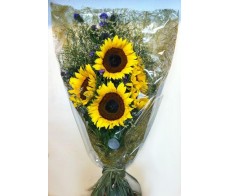 V6.7~ SUNFLOWER BOUQUET